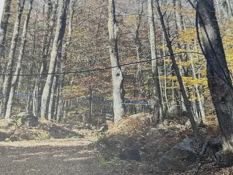 1928 Vt. Route 131 Weathersfield VT 05030