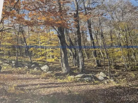 1928 Vt. Route 131 Weathersfield VT 05030