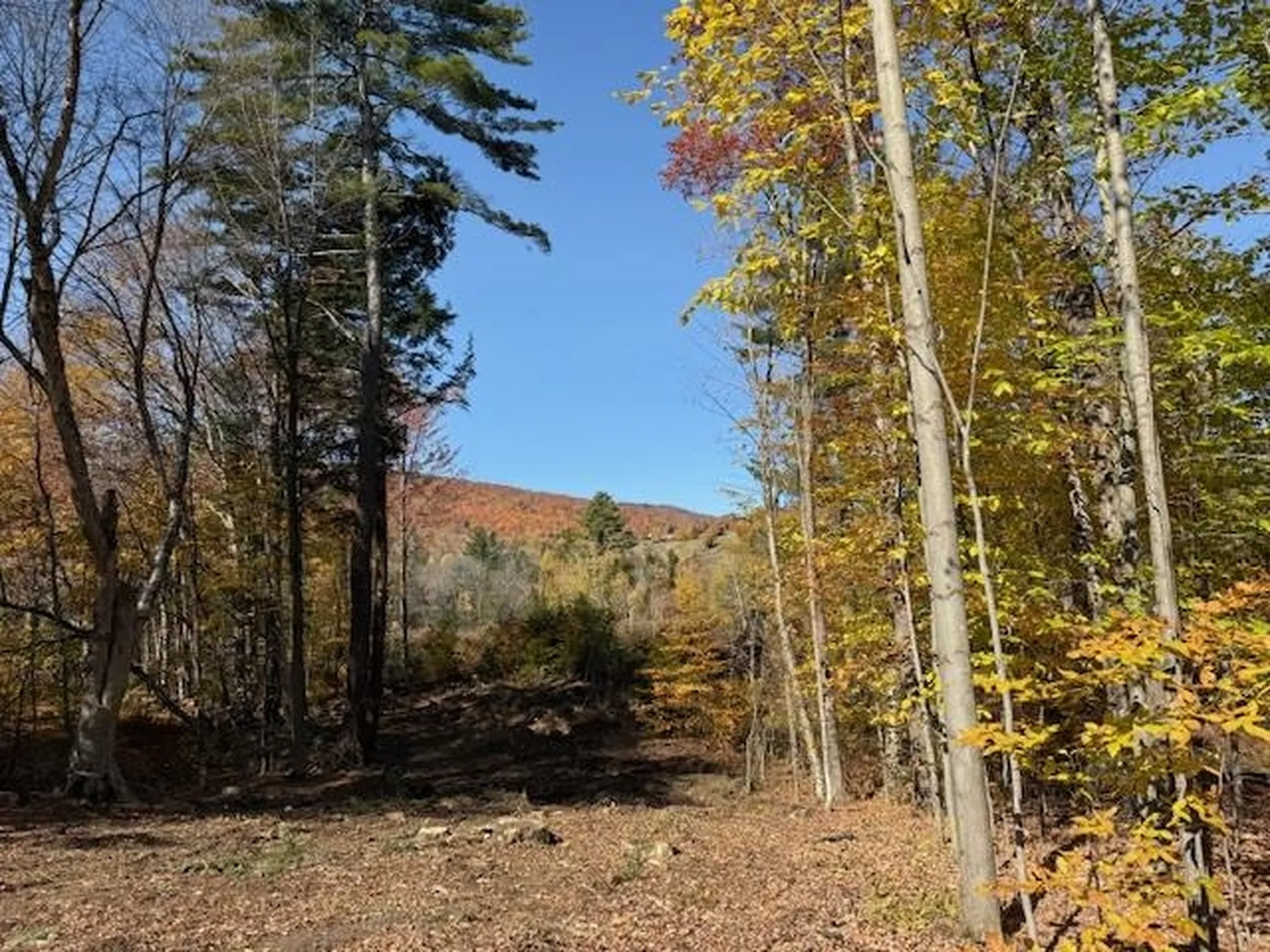 8 Okemo Acres Road Ludlow VT 05194