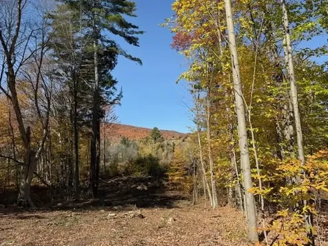 8 Okemo Acres Road Ludlow VT 05194