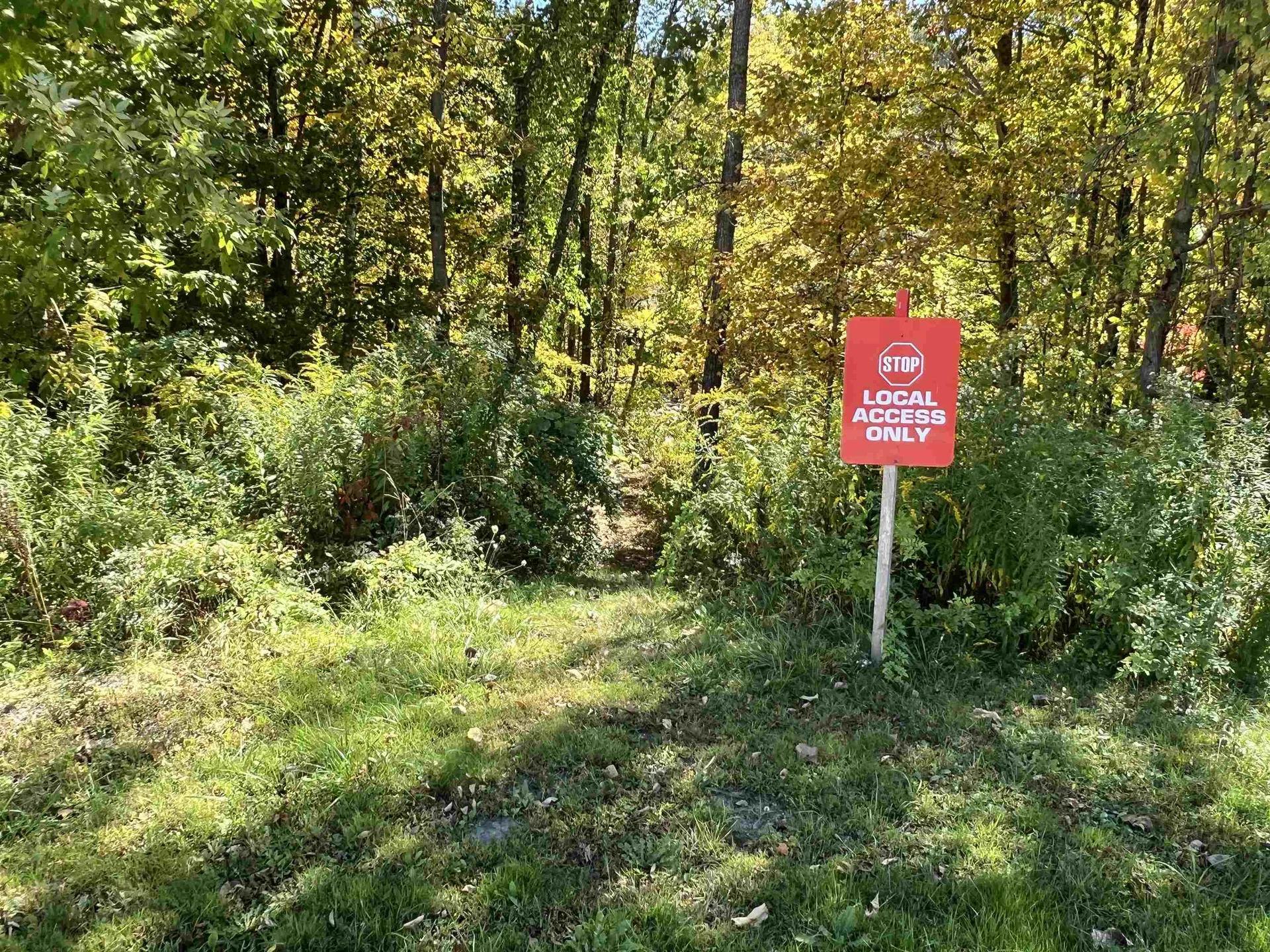 861 Route 100 Wardsboro VT 05355