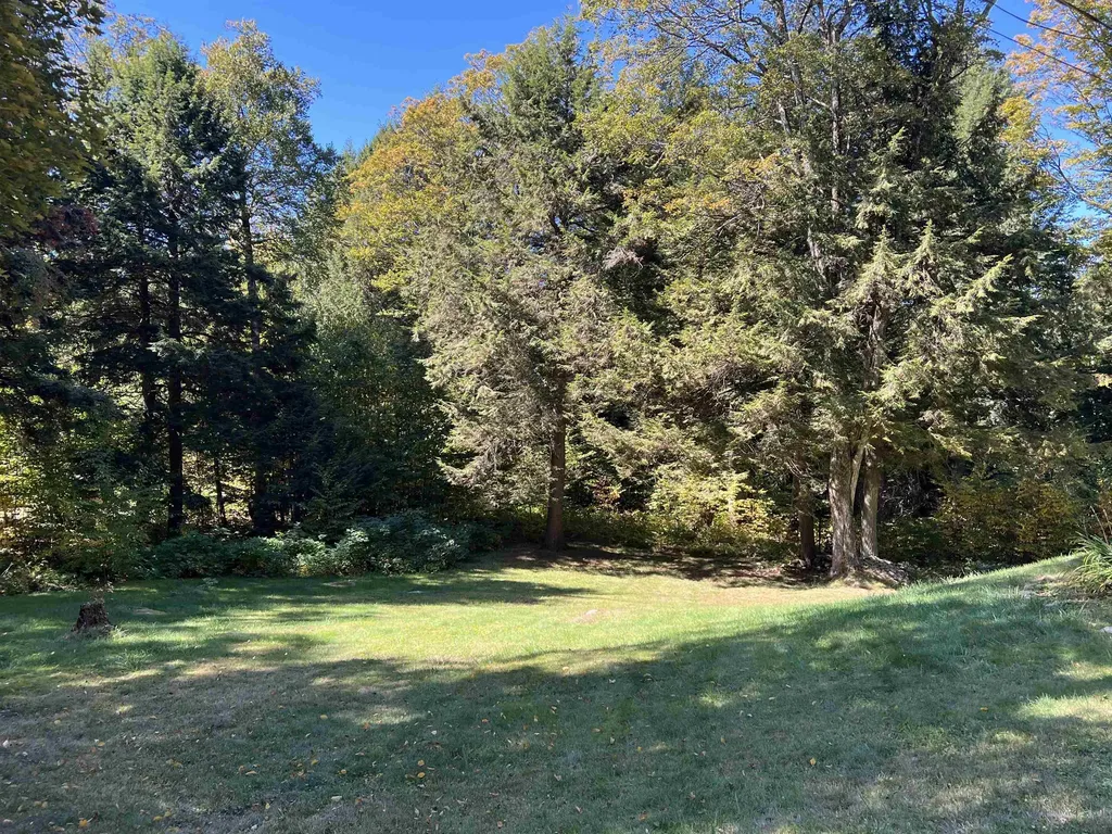 424 Susan Lynn Lane Wardsboro VT 05355