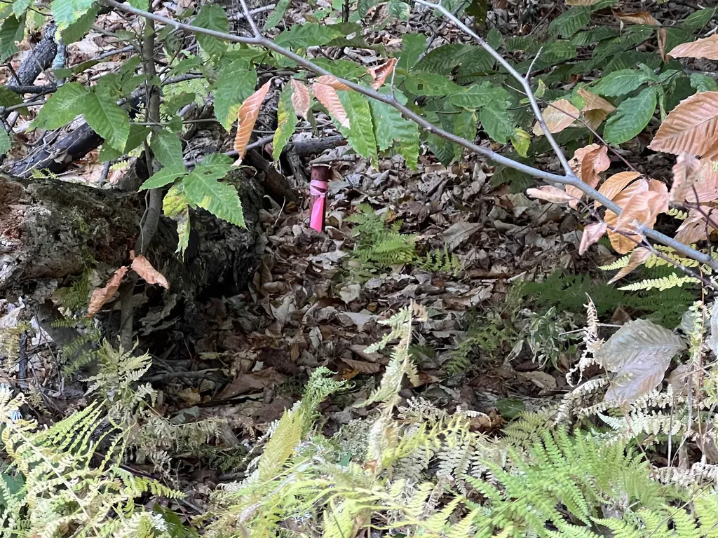 424 Susan Lynn Lane Wardsboro VT 05355