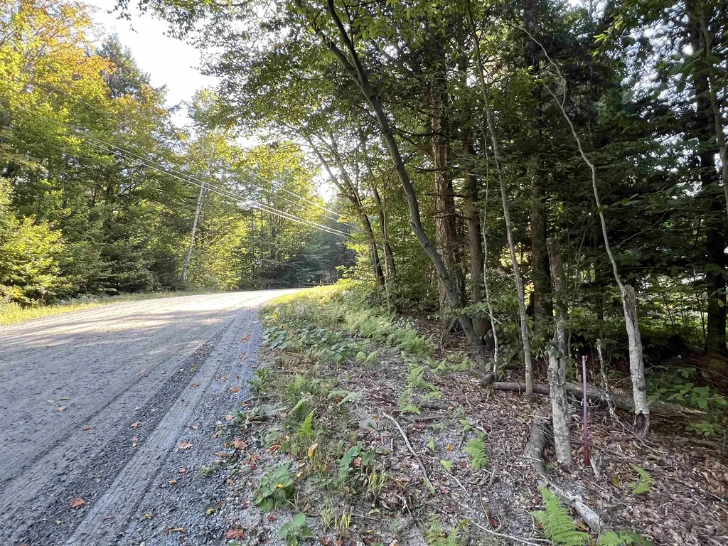 424 Susan Lynn Lane Wardsboro VT 05355