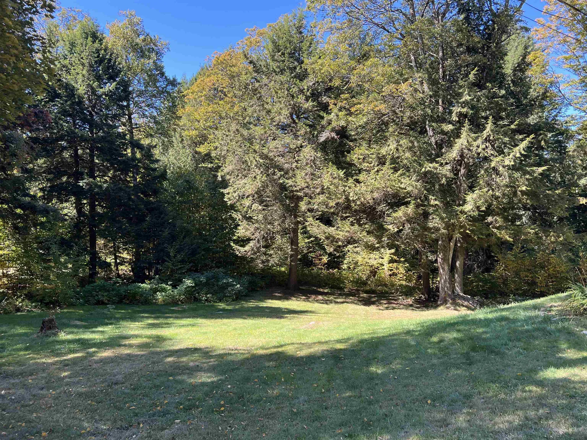 424 Susan Lynn Lane Wardsboro VT 05355