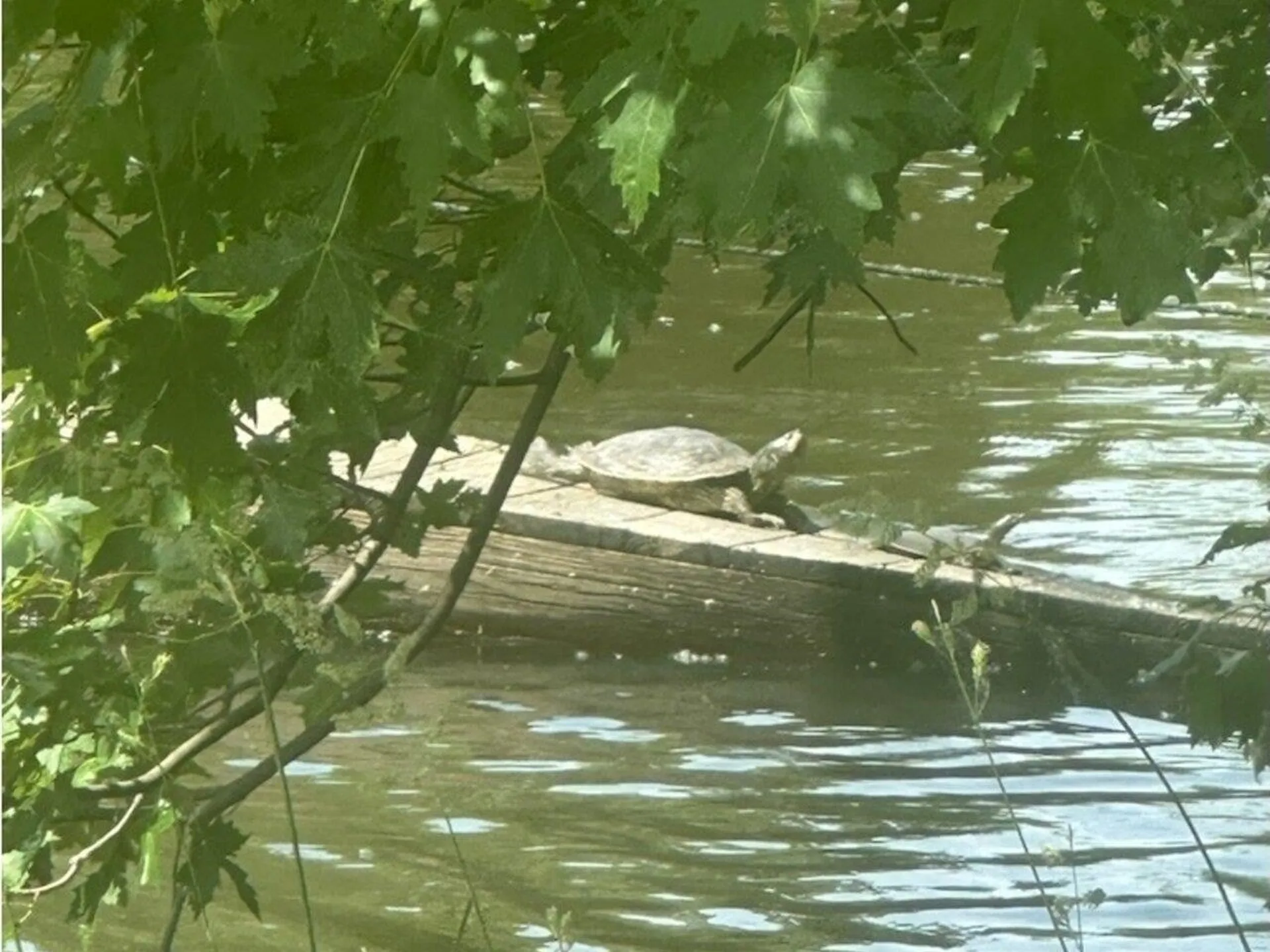 10 Macomber Point Alburgh VT 05440