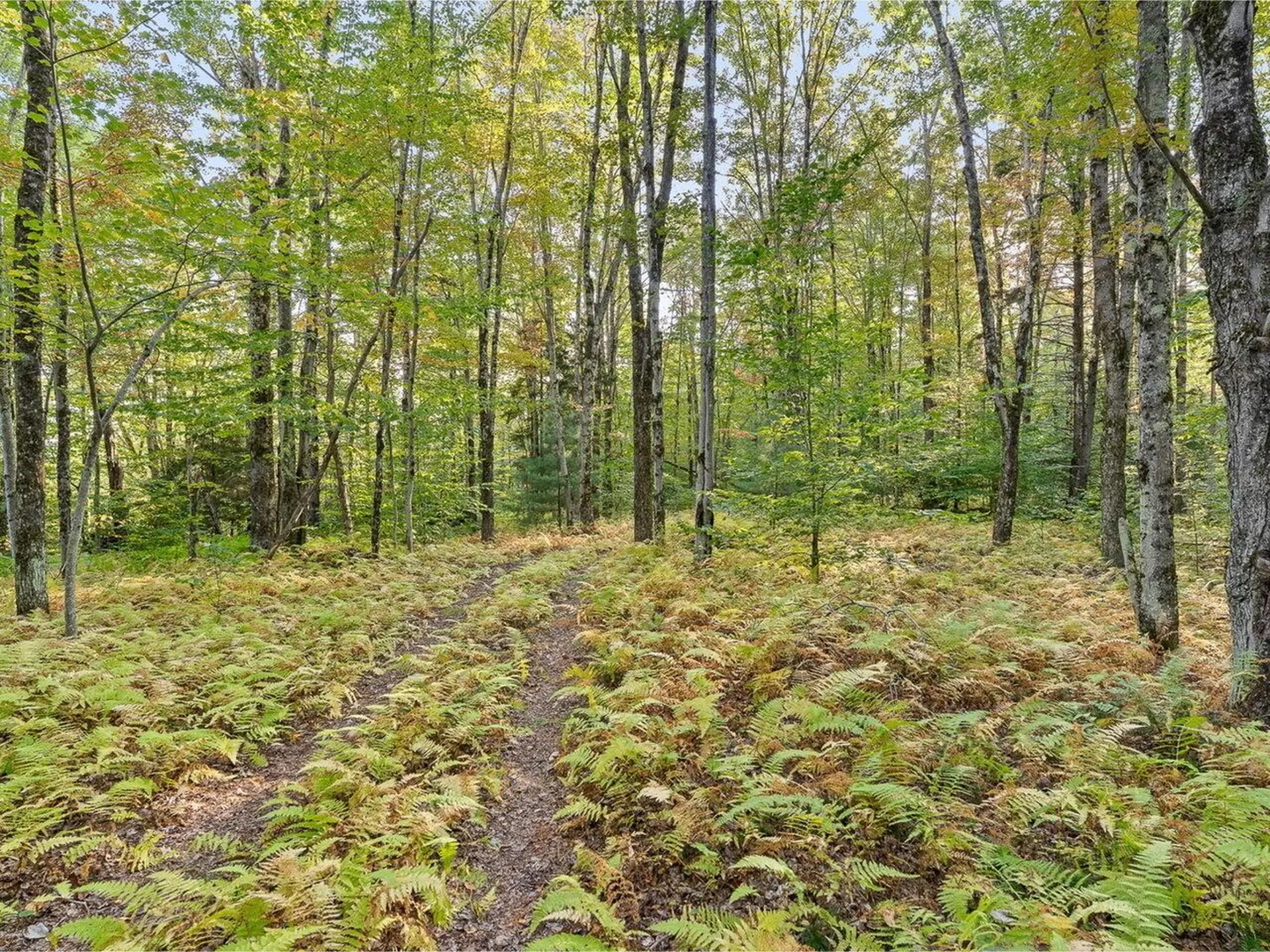 242 Meadow Brook Drive Starksboro VT 05487