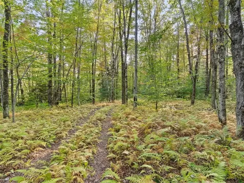 242 Meadow Brook Drive Starksboro VT 05487