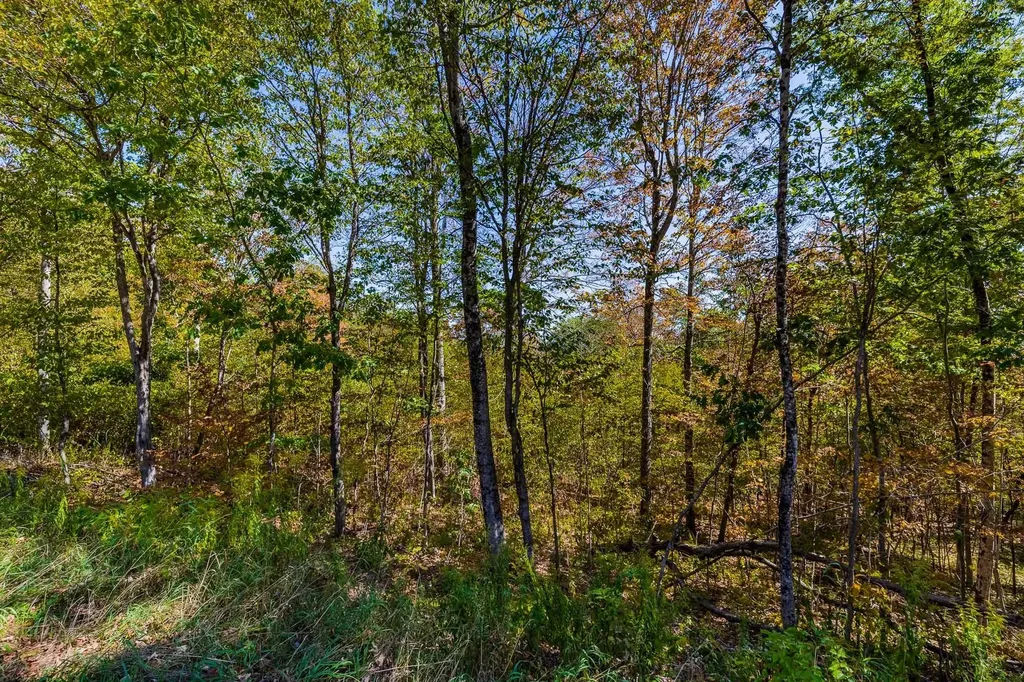 5268 Willard Road Hartford VT 05059