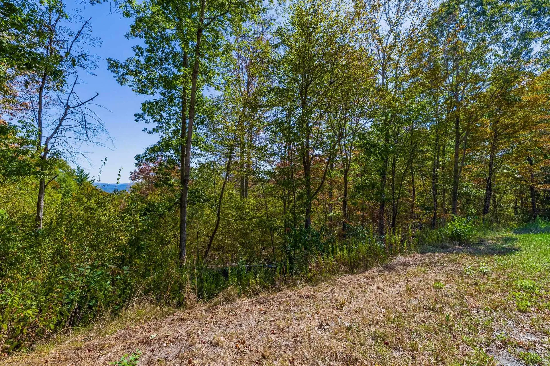 5268 Willard Road Hartford VT 05059