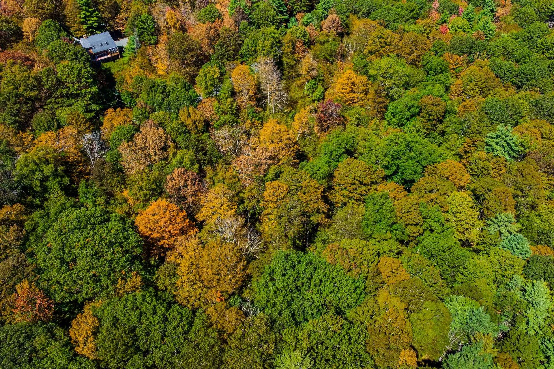 5268 Willard Road Hartford VT 05059