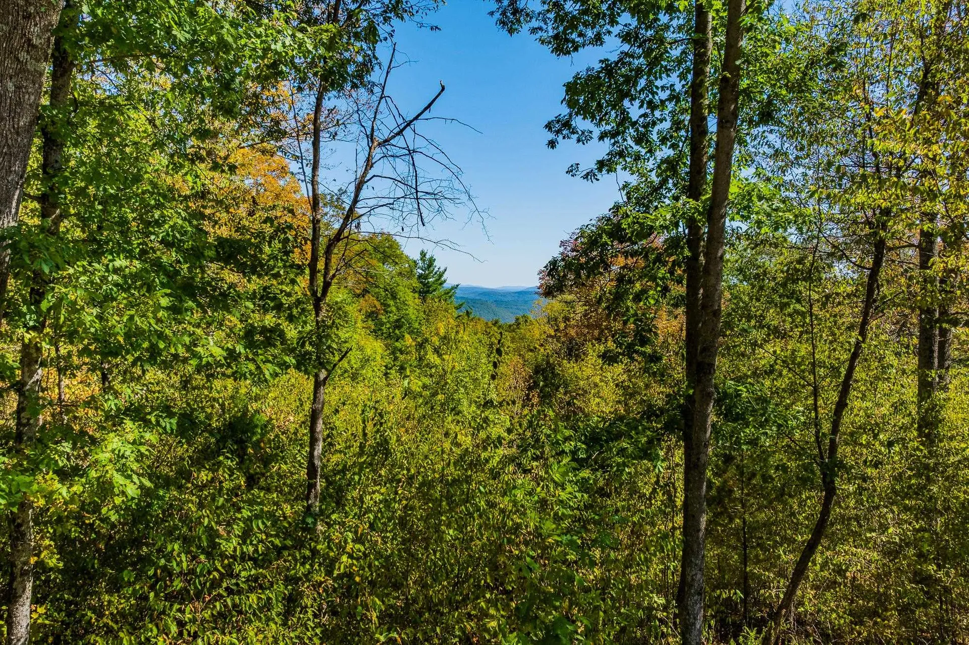 5268 Willard Road Hartford VT 05059