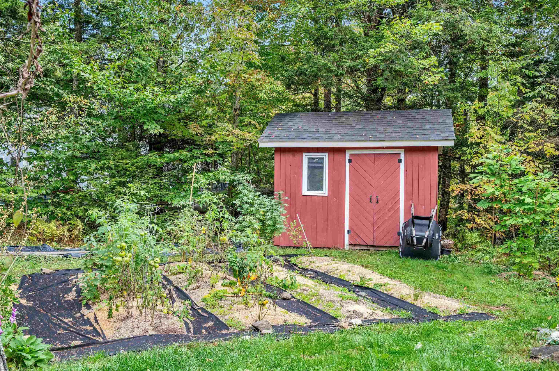 42 Catamount Lane Fayston VT 05673