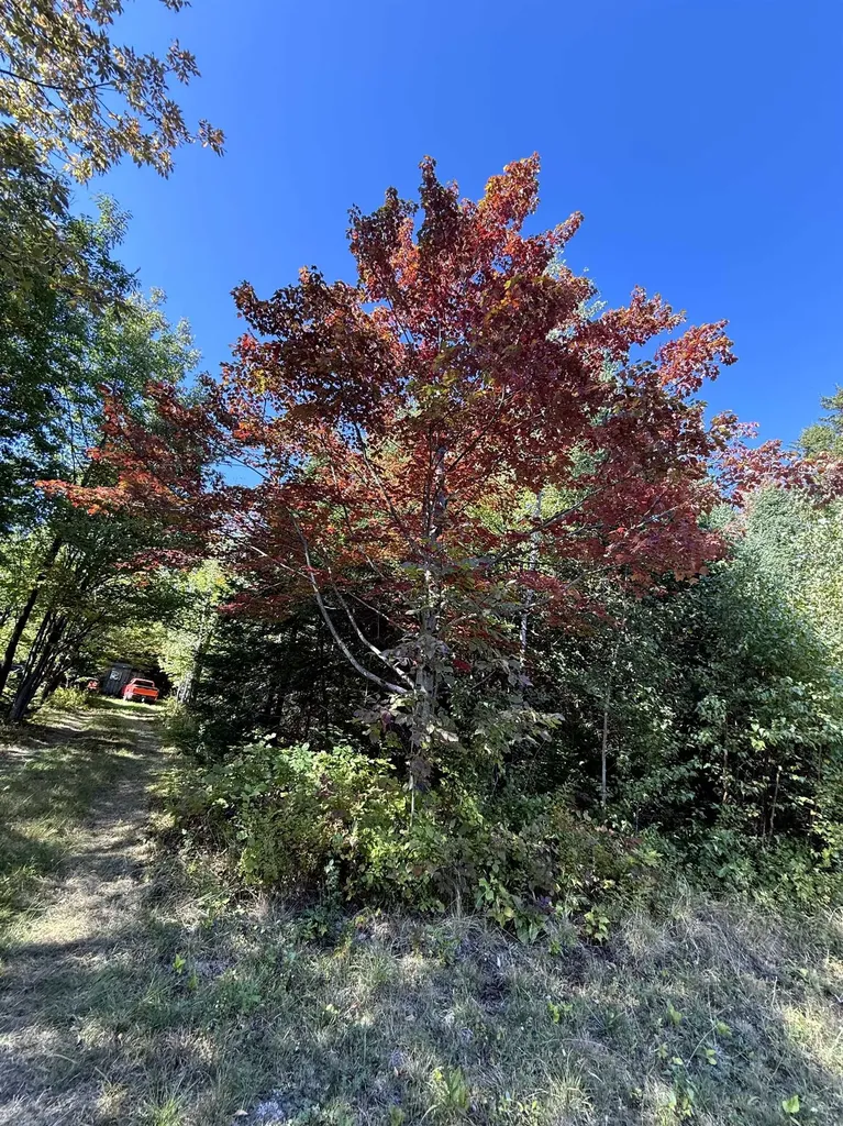 307 Kidder Hill Ridge Irasburg VT 05845