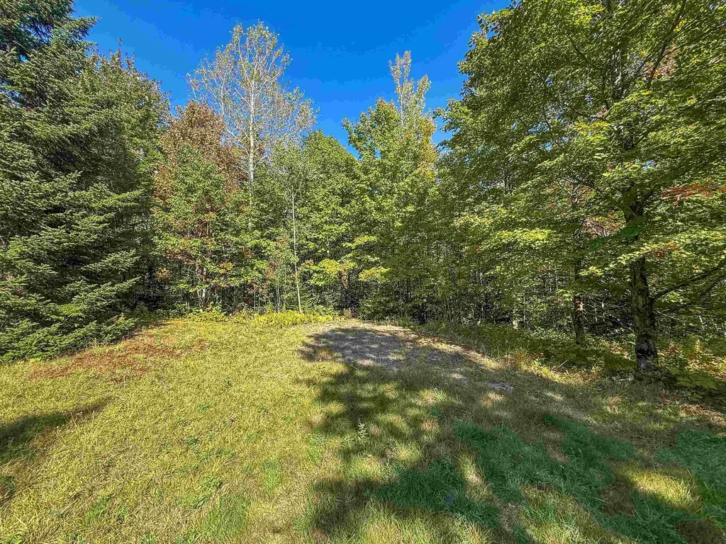 307 Kidder Hill Ridge Irasburg VT 05845