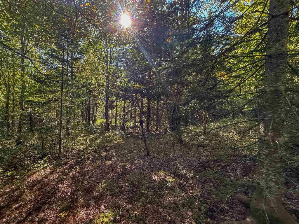 307 Kidder Hill Ridge Irasburg VT 05845