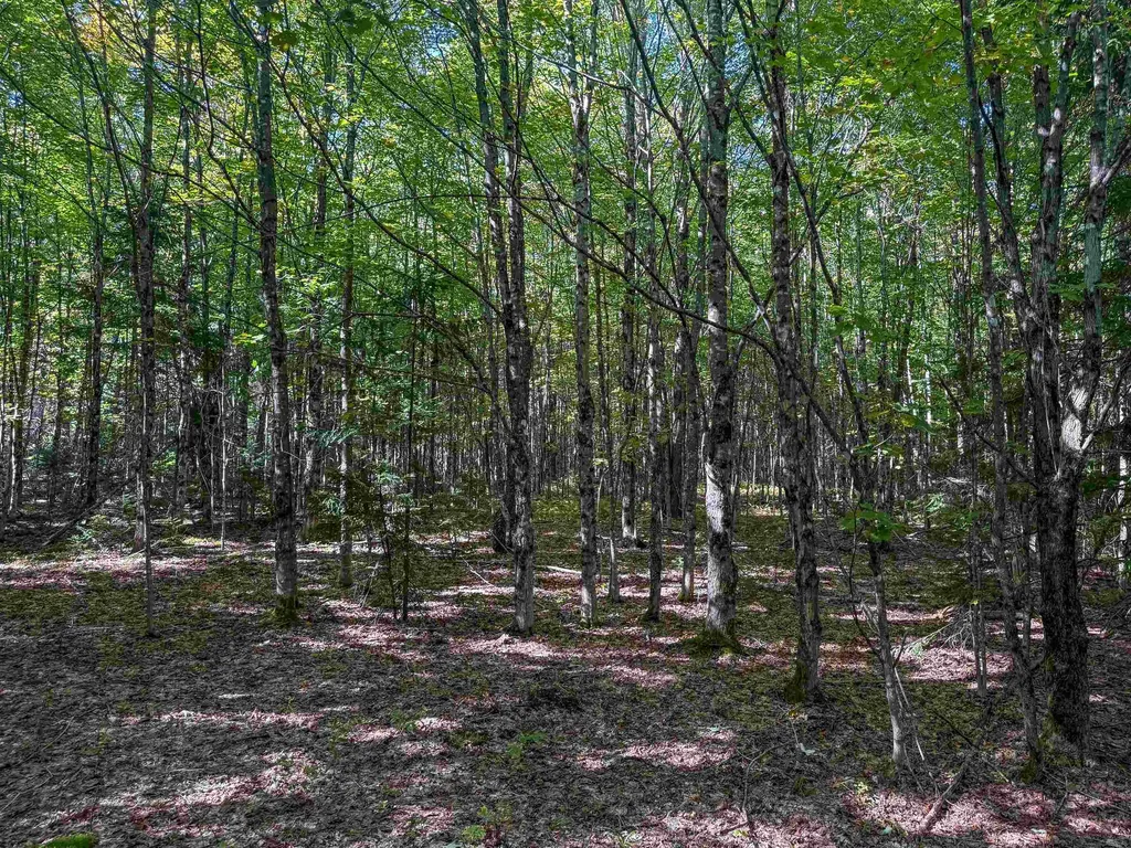 307 Kidder Hill Ridge Irasburg VT 05845