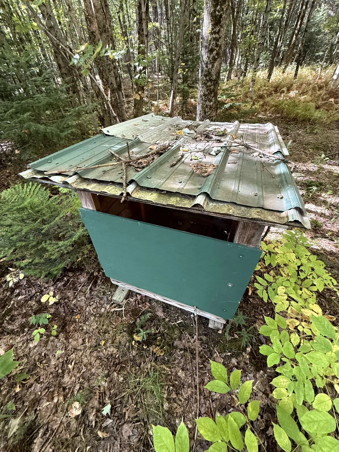 307 Kidder Hill Ridge Irasburg VT 05845