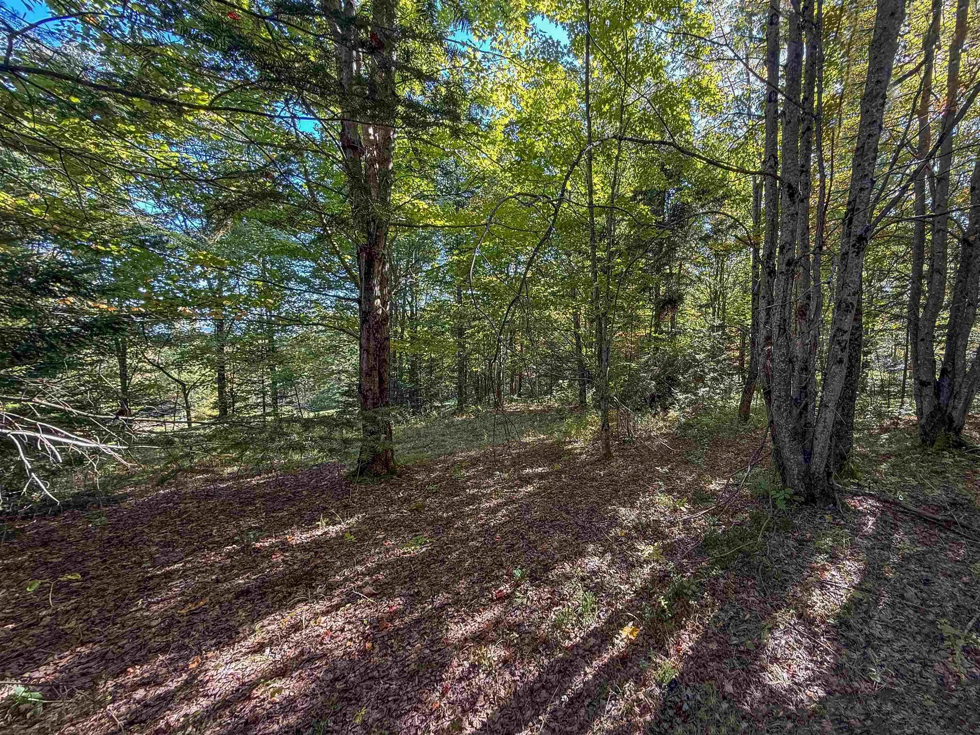 307 Kidder Hill Ridge Irasburg VT 05845