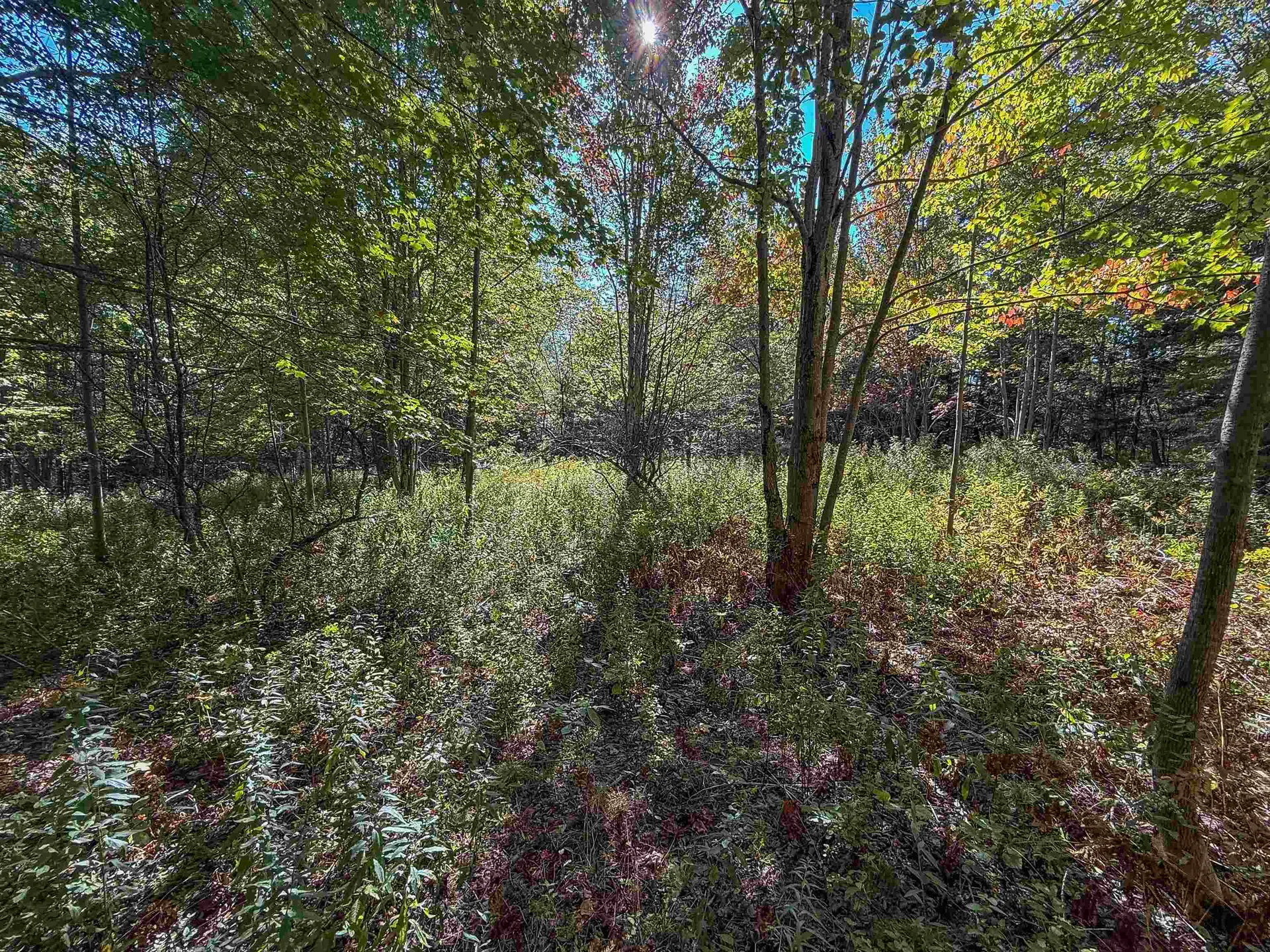 307 Kidder Hill Ridge Irasburg VT 05845