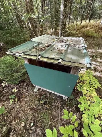 307 Kidder Hill Ridge Irasburg VT 05845