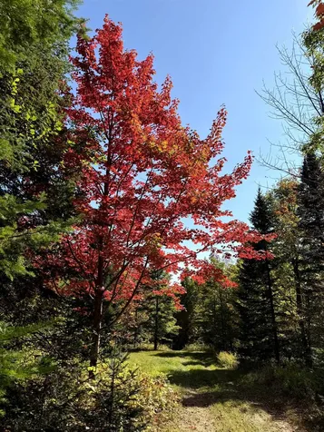 307 Kidder Hill Ridge Irasburg VT 05845