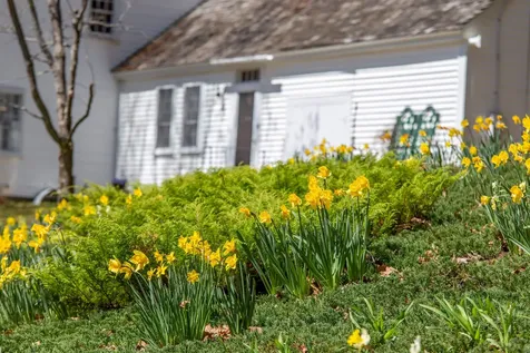 898 & 900 Bunker Hill Road Tamworth NH 03883