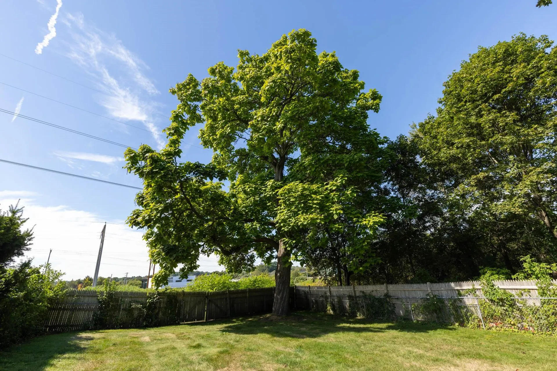 88 Farm Lane Portsmouth NH 03801