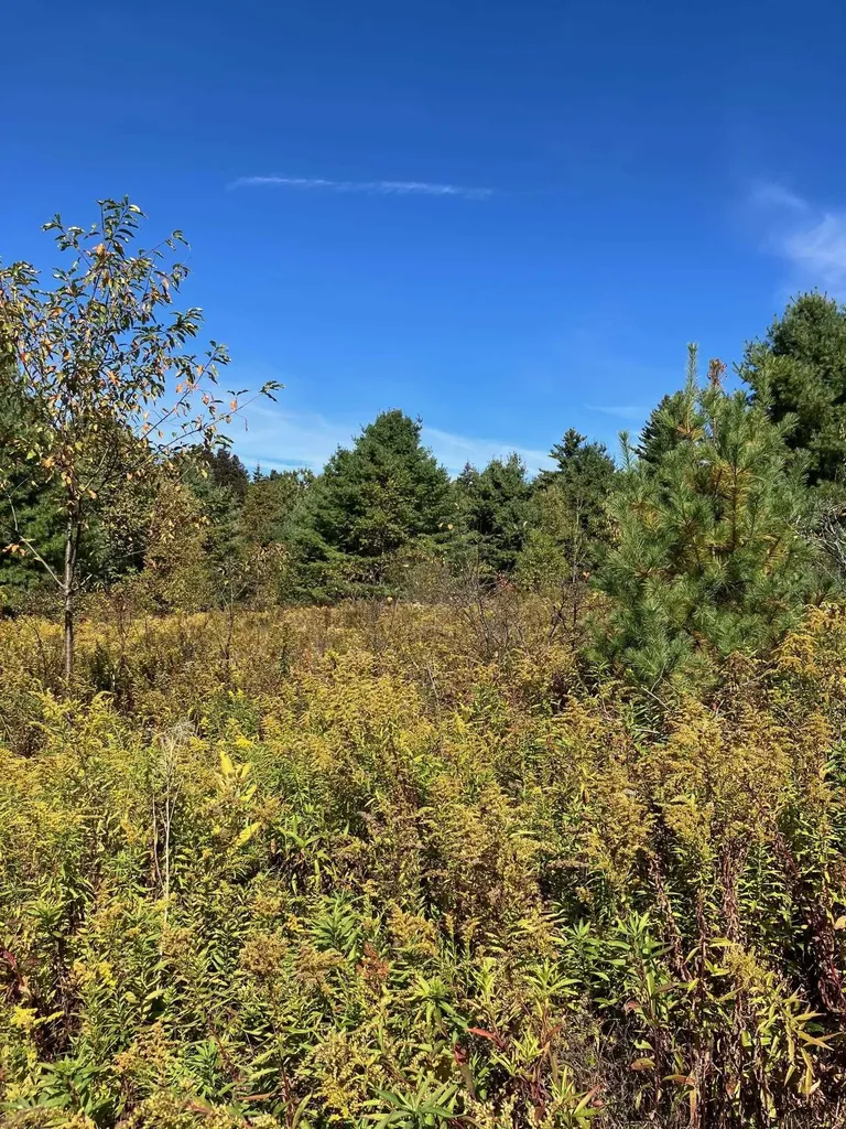 0 Theresa Lane Wilmington VT 05363