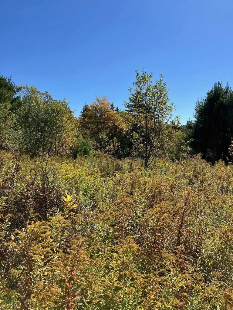 0 Theresa Lane Wilmington VT 05363