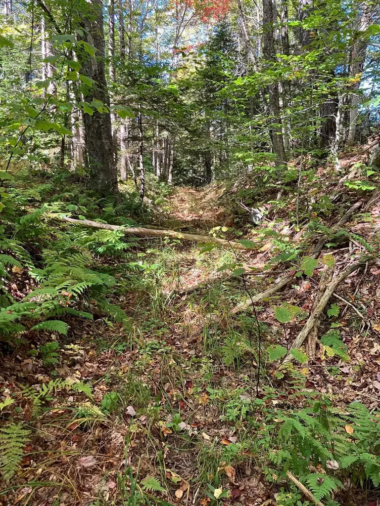 0 Theresa Lane Wilmington VT 05363