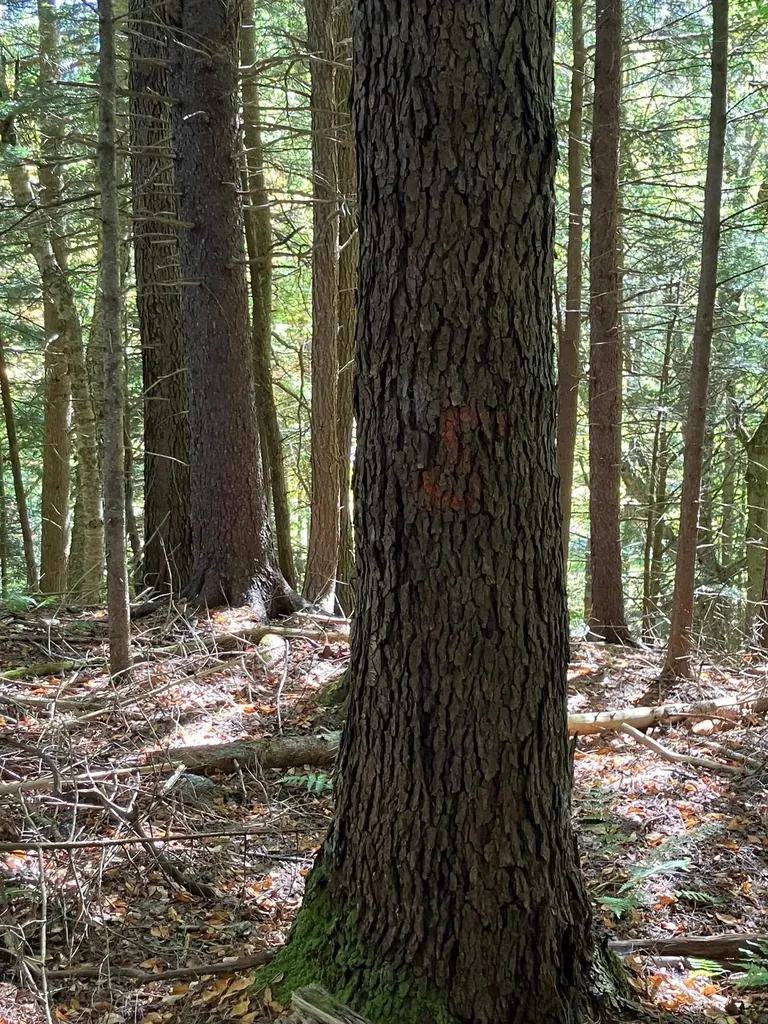 0 Theresa Lane Wilmington VT 05363