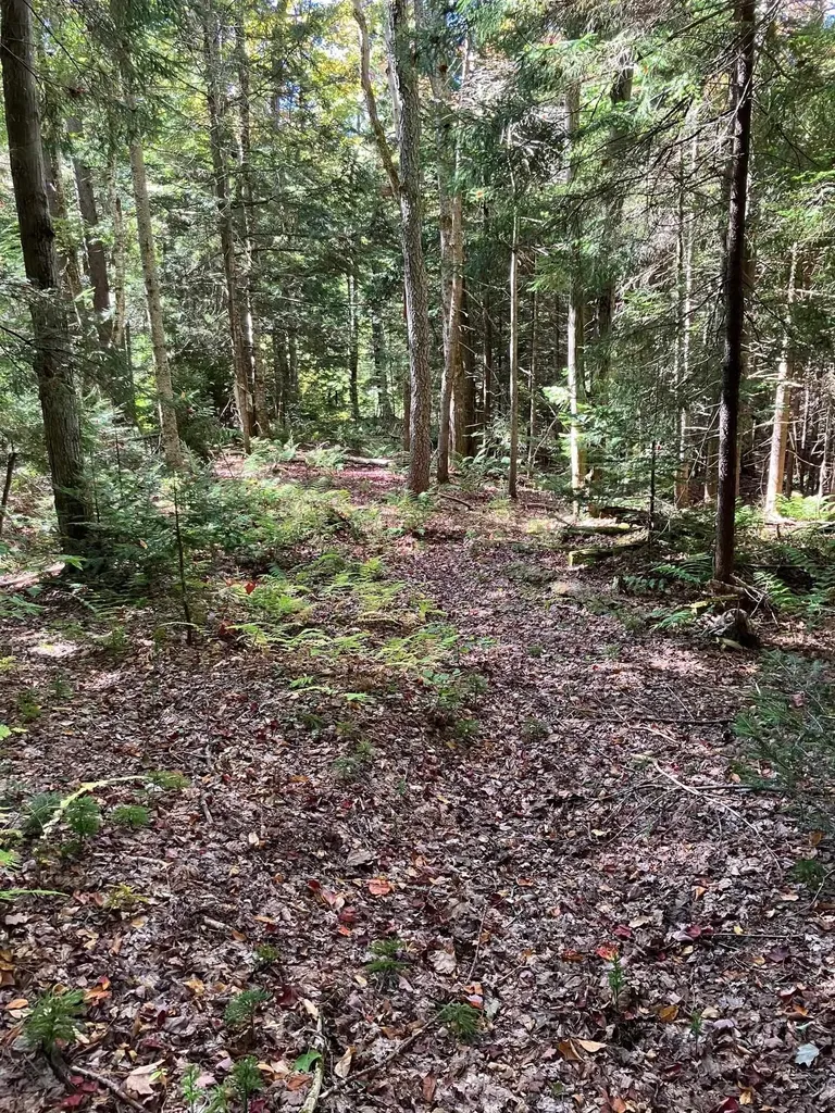 0 Theresa Lane Wilmington VT 05363