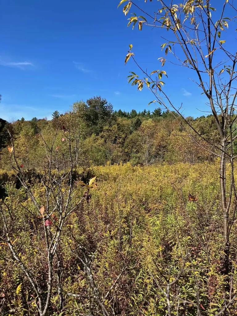 0 Theresa Lane Wilmington VT 05363