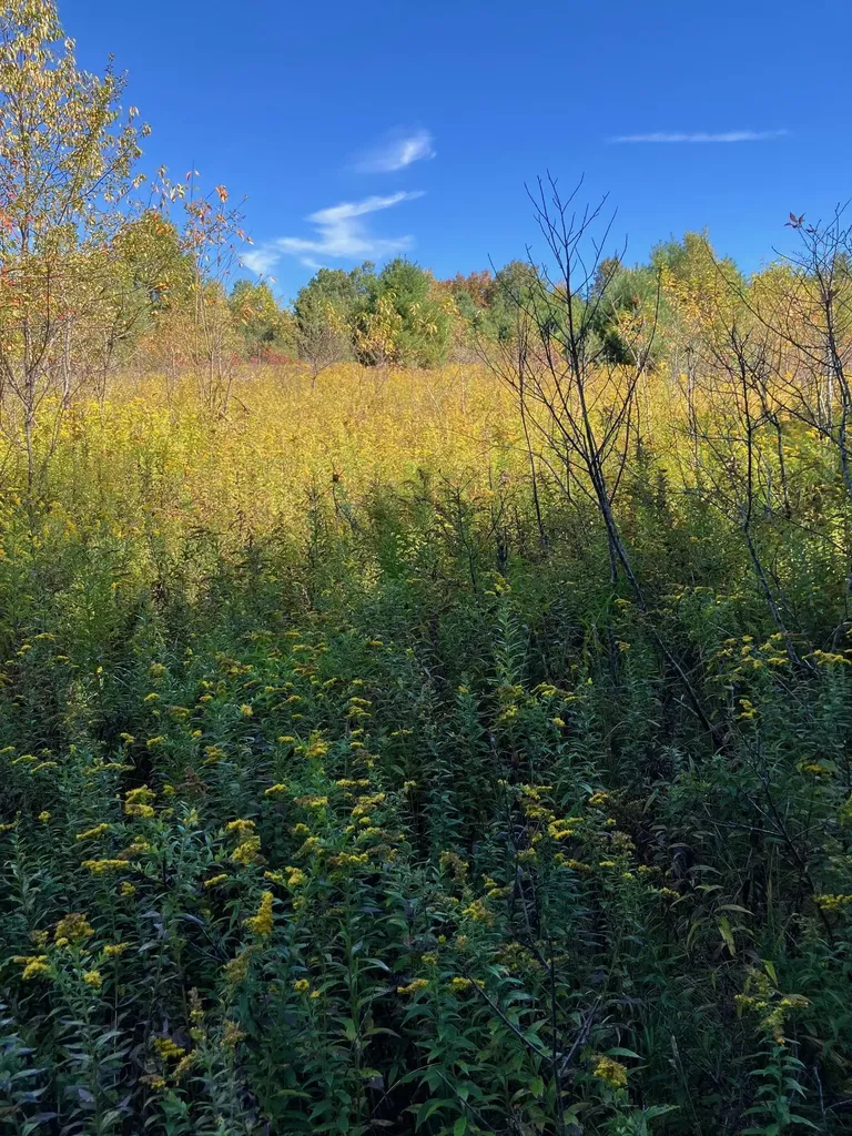 0 Theresa Lane Wilmington VT 05363