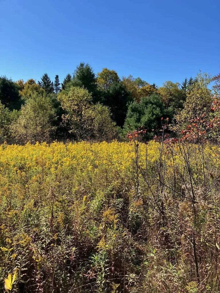 0 Theresa Lane Wilmington VT 05363