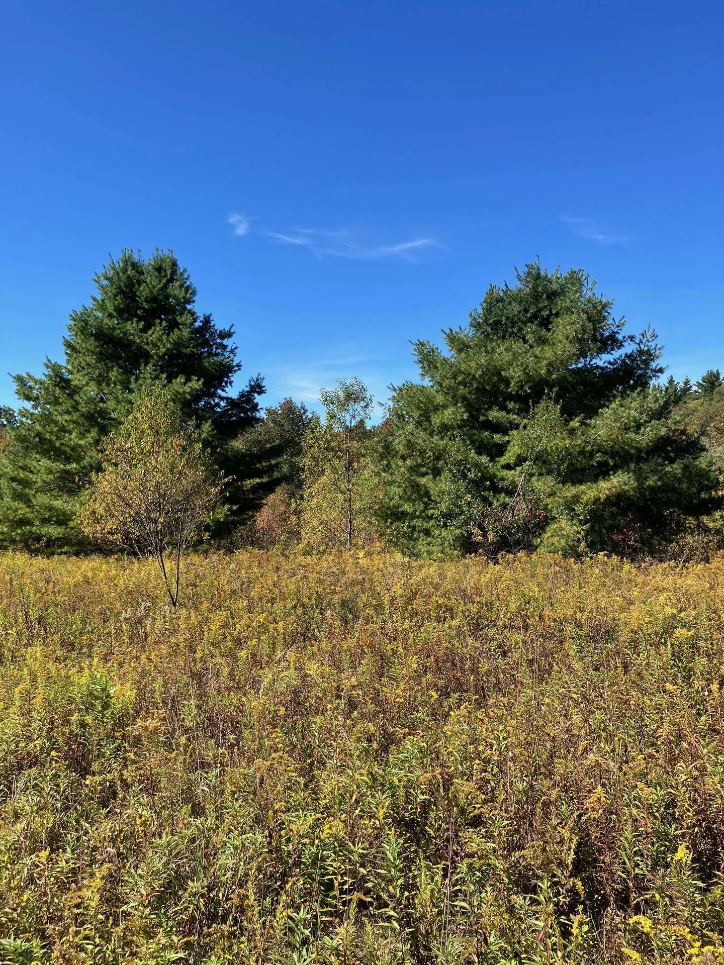 0 Theresa Lane Wilmington VT 05363