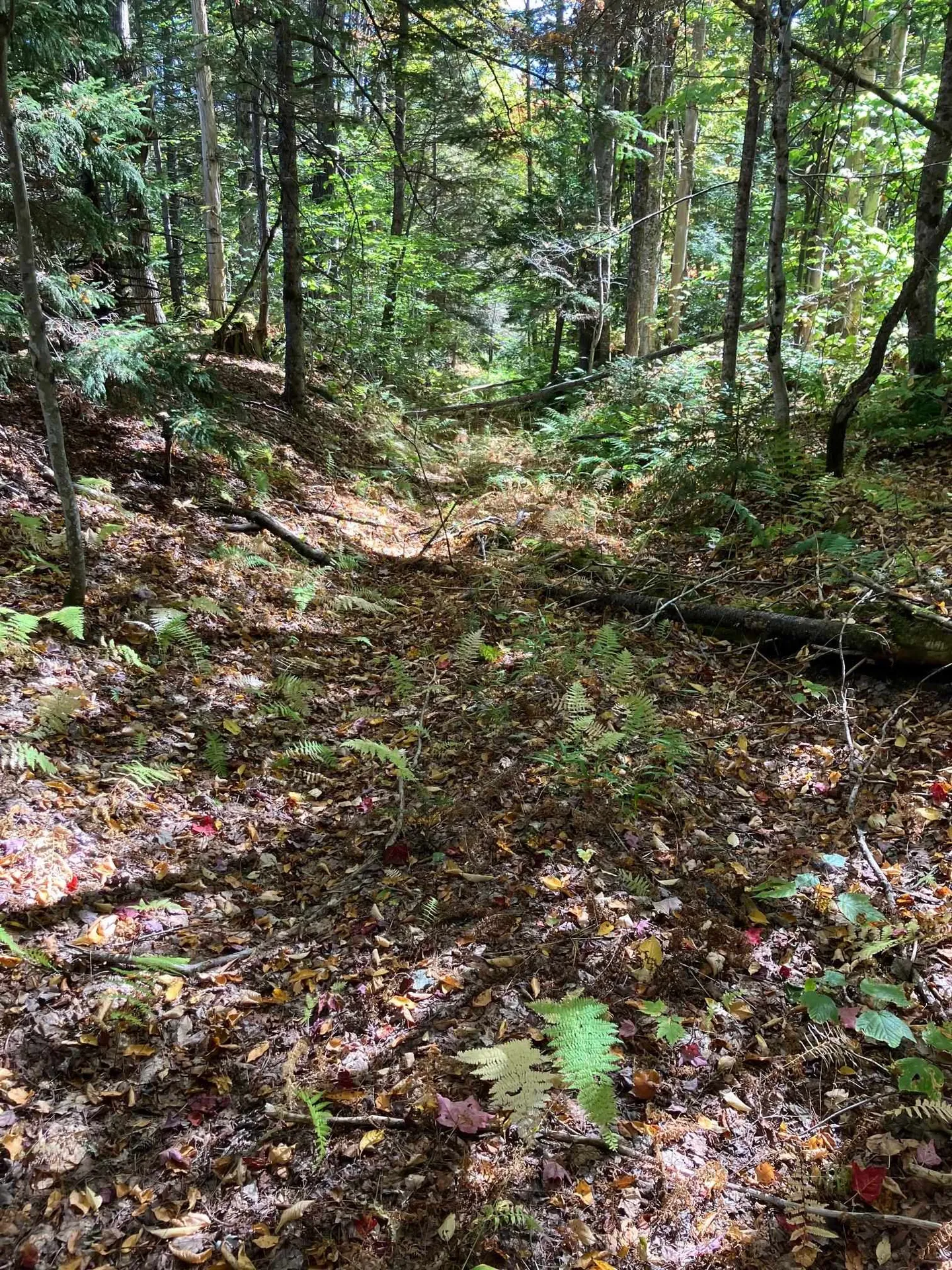 0 Theresa Lane Wilmington VT 05363