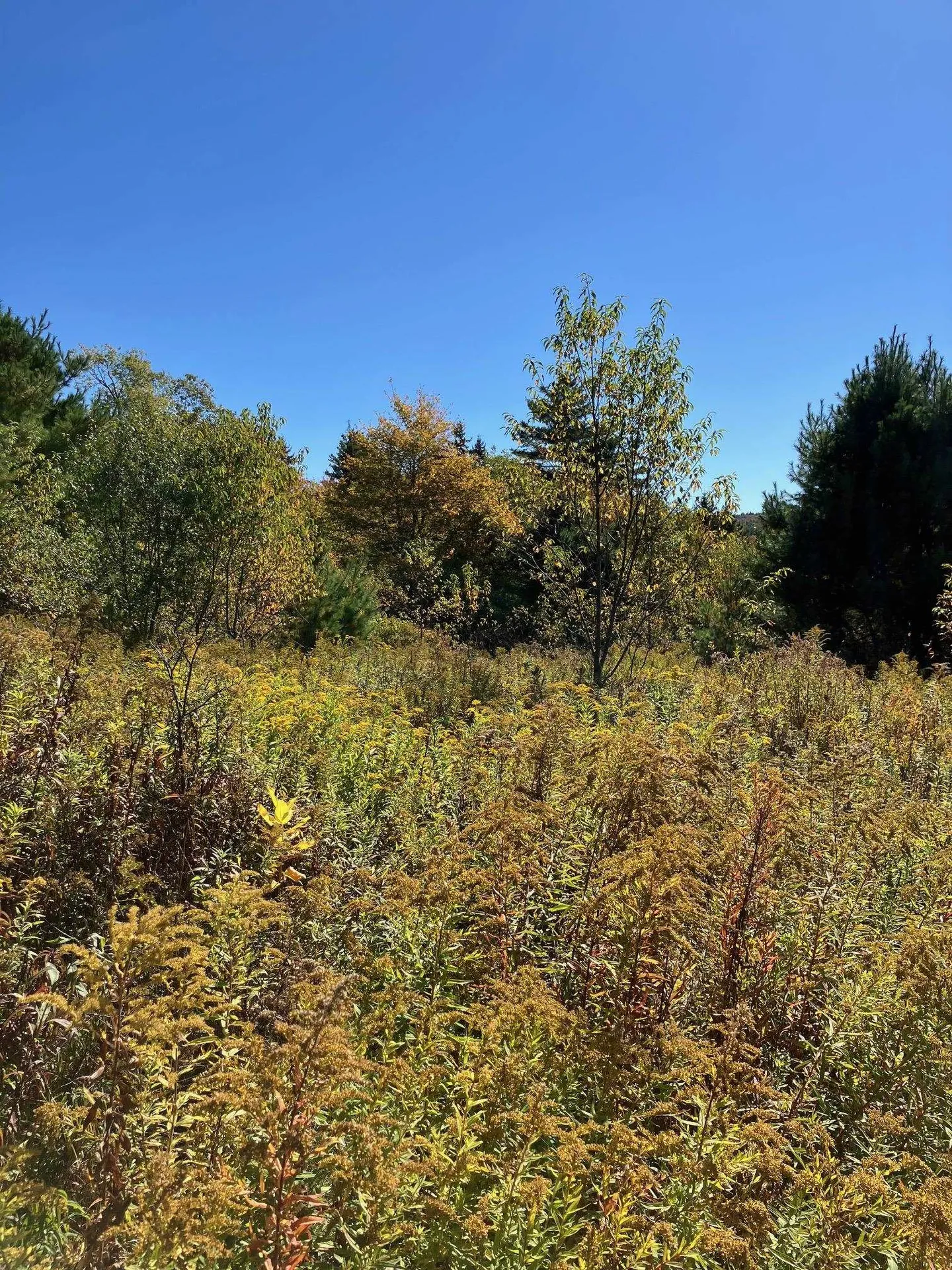 0 Theresa Lane Wilmington VT 05363