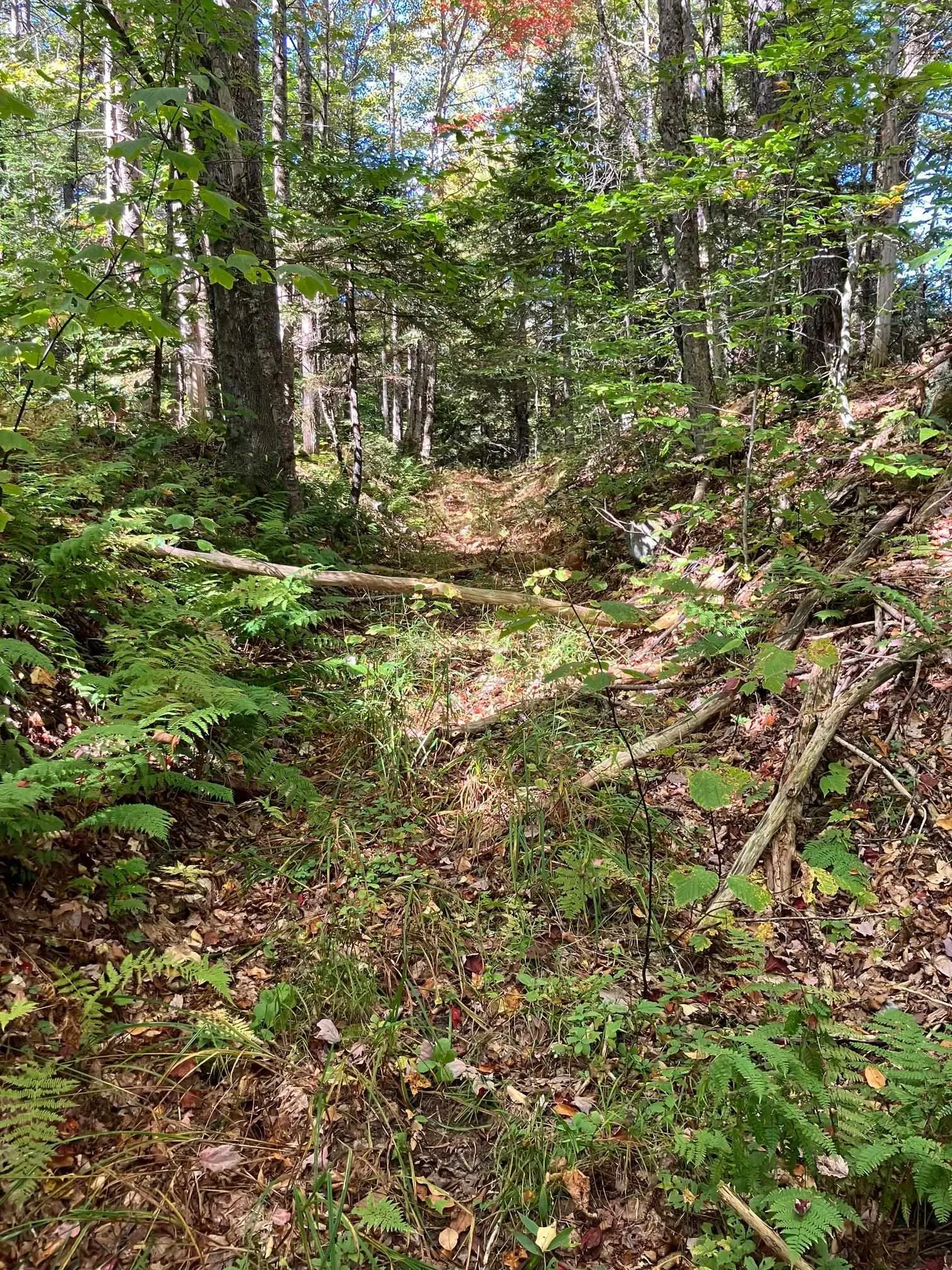 0 Theresa Lane Wilmington VT 05363