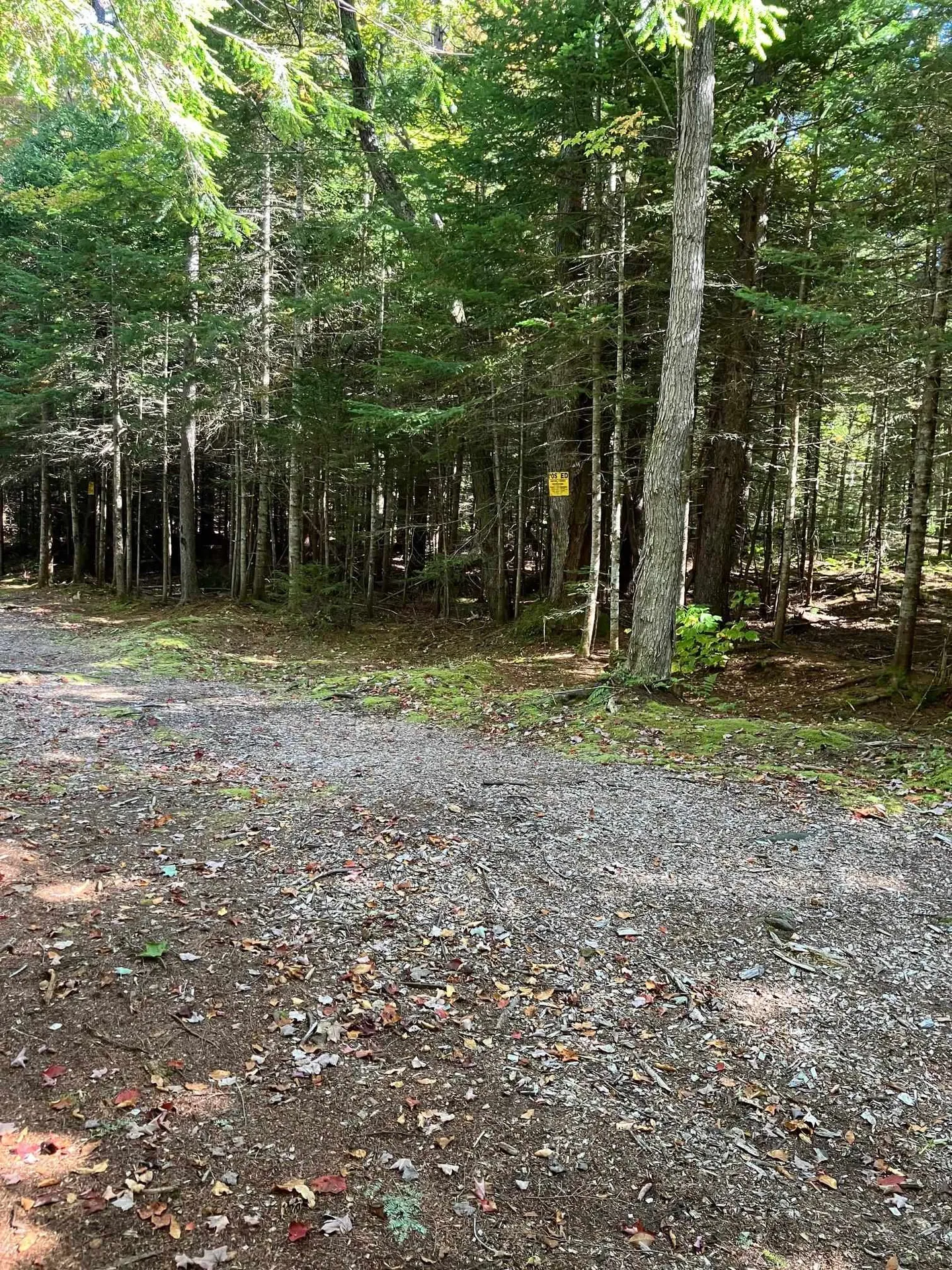 0 Theresa Lane Wilmington VT 05363