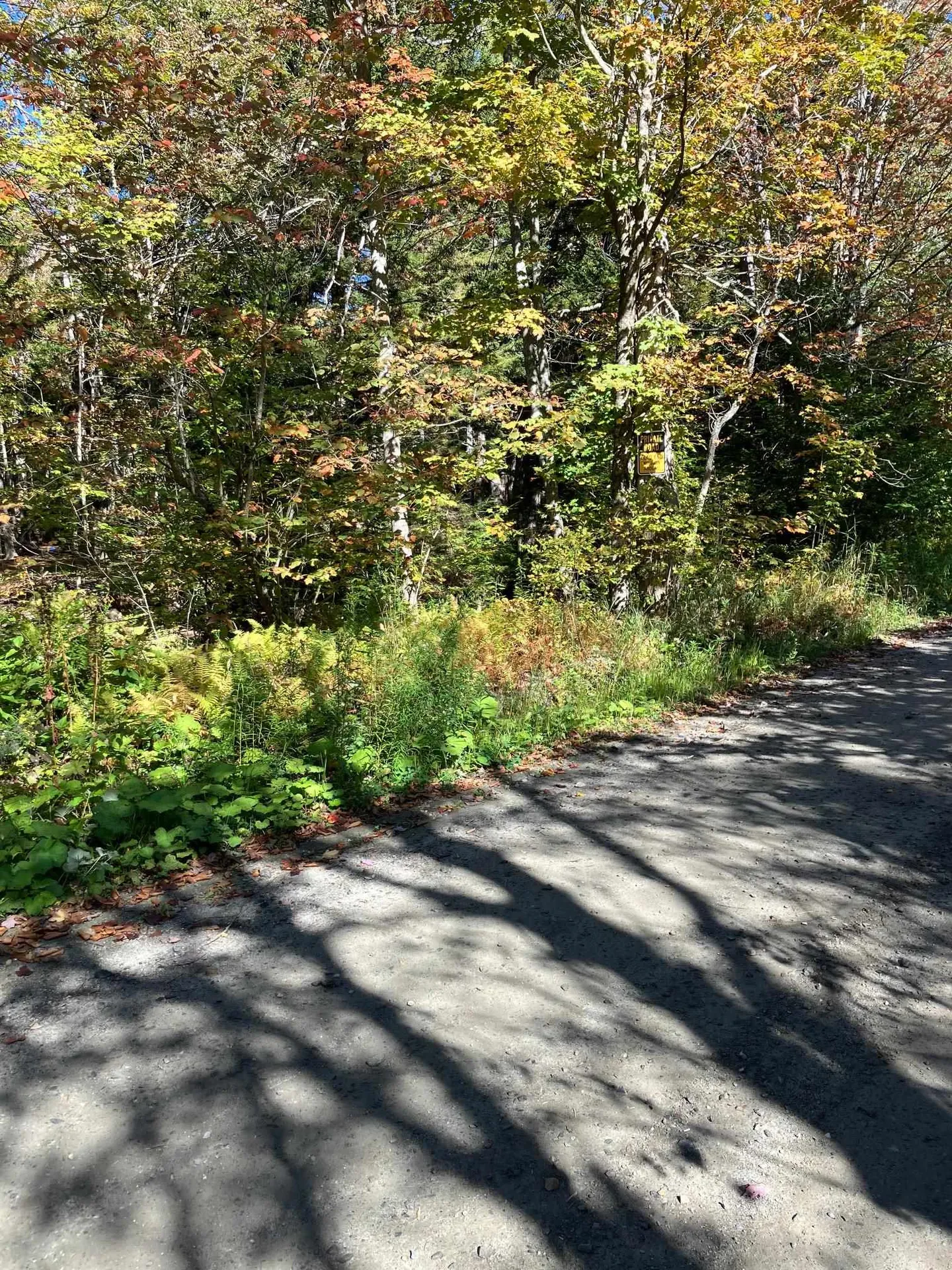 0 Theresa Lane Wilmington VT 05363