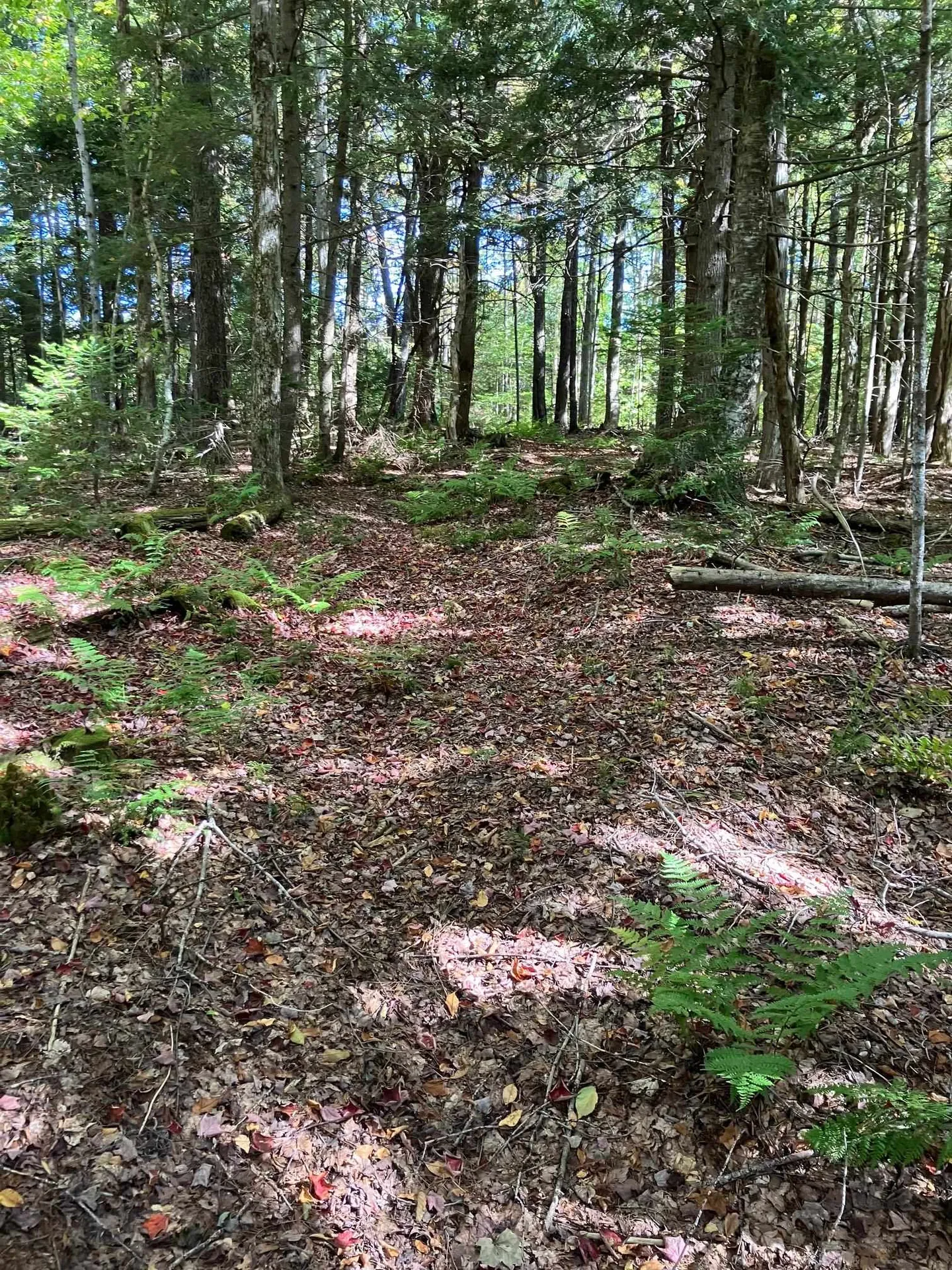 0 Theresa Lane Wilmington VT 05363