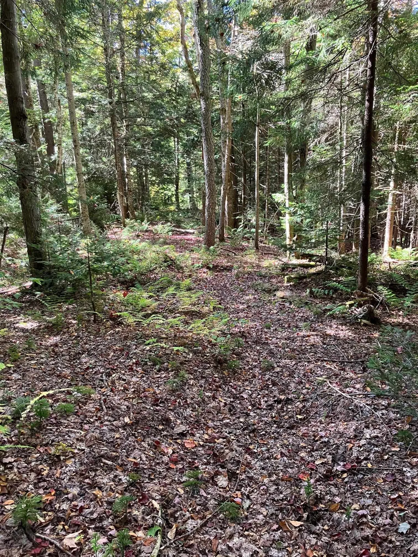 0 Theresa Lane Wilmington VT 05363