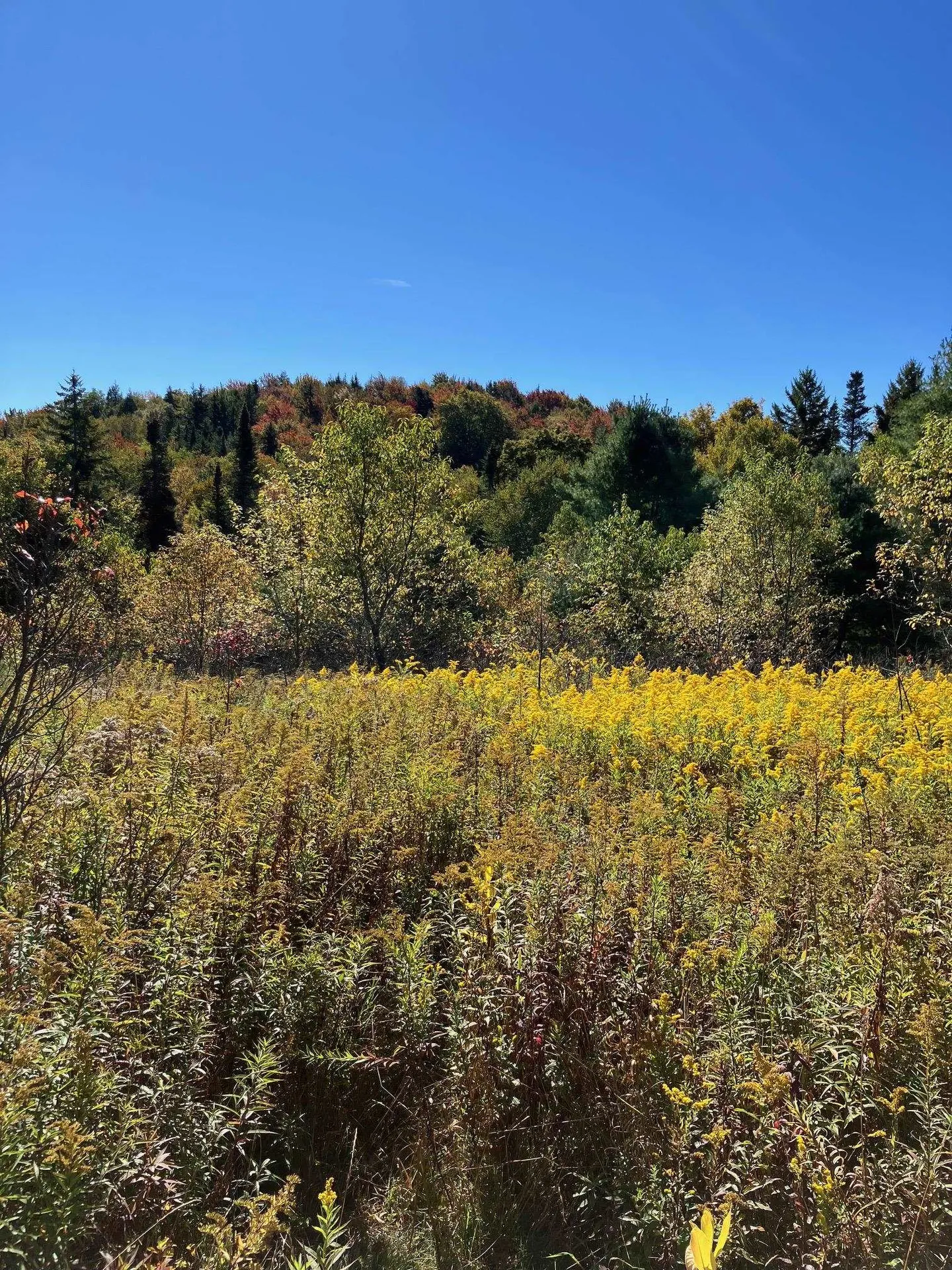 0 Theresa Lane Wilmington VT 05363