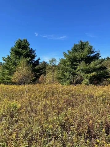 0 Theresa Lane Wilmington VT 05363