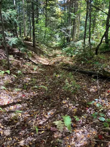 0 Theresa Lane Wilmington VT 05363