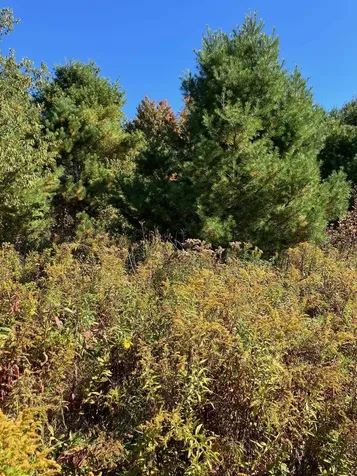 0 Theresa Lane Wilmington VT 05363