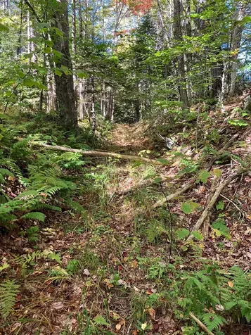 0 Theresa Lane Wilmington VT 05363