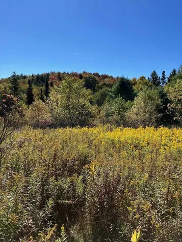 0 Theresa Lane Wilmington VT 05363